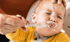 amamentação livre demanda