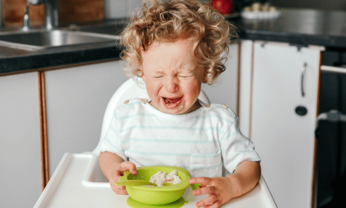 seletividade alimentar infantil